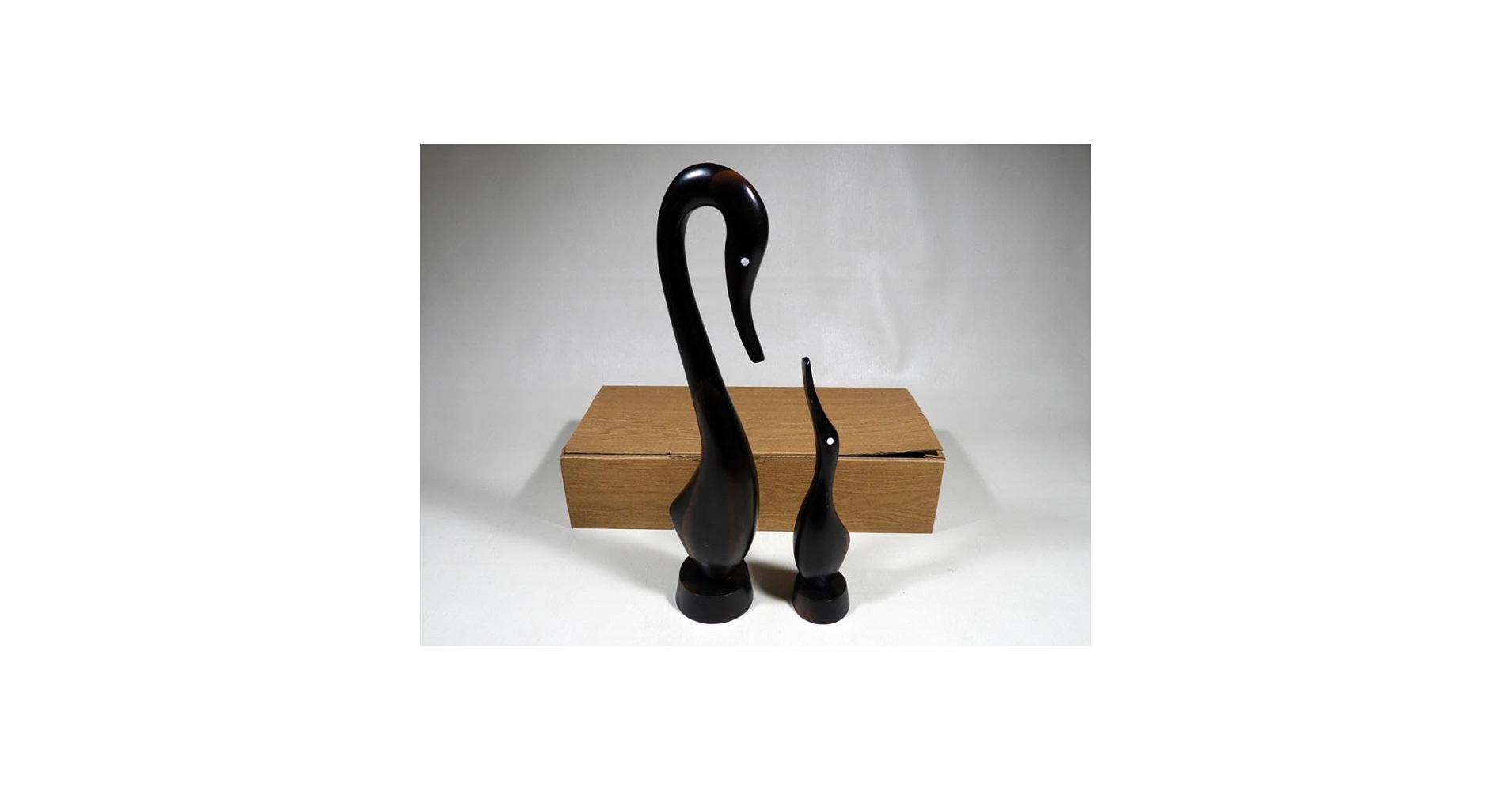 黑白鳥 アルビノ＆メラニズム図鑑 (@bino_zum): 